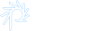 Phase2 burst outline
